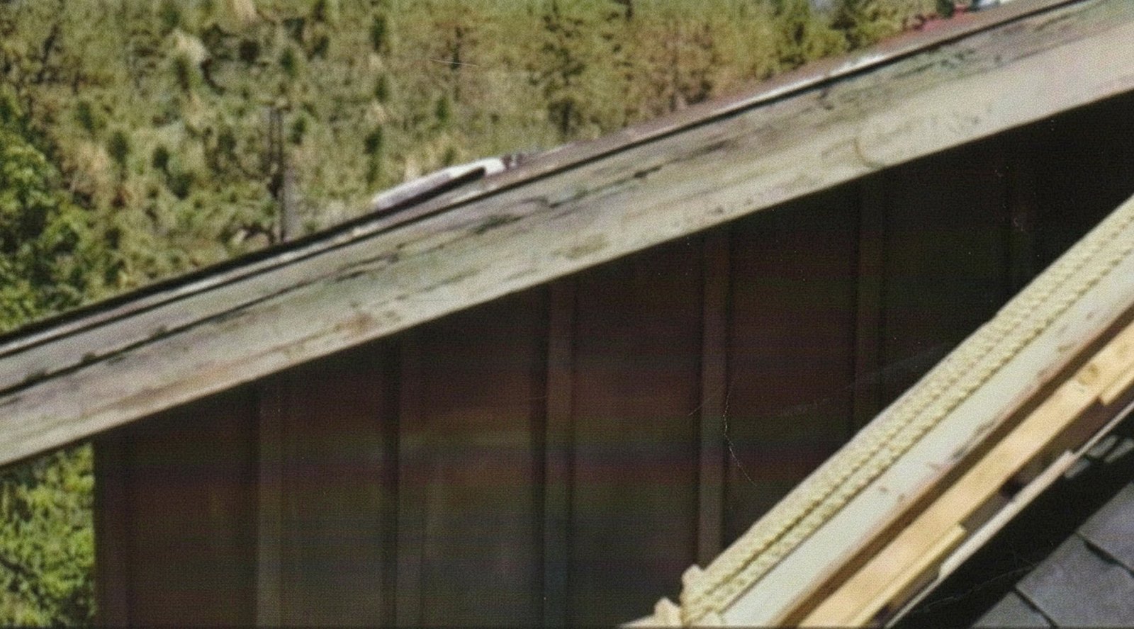 A sloped rooftop with a red metal mounting structure, possibly for solar panels or mechanical equipment, set against a backdrop of tall pine trees and a clear blue sky. The scene suggests a remote or off-grid location where technology meets nature<br />
